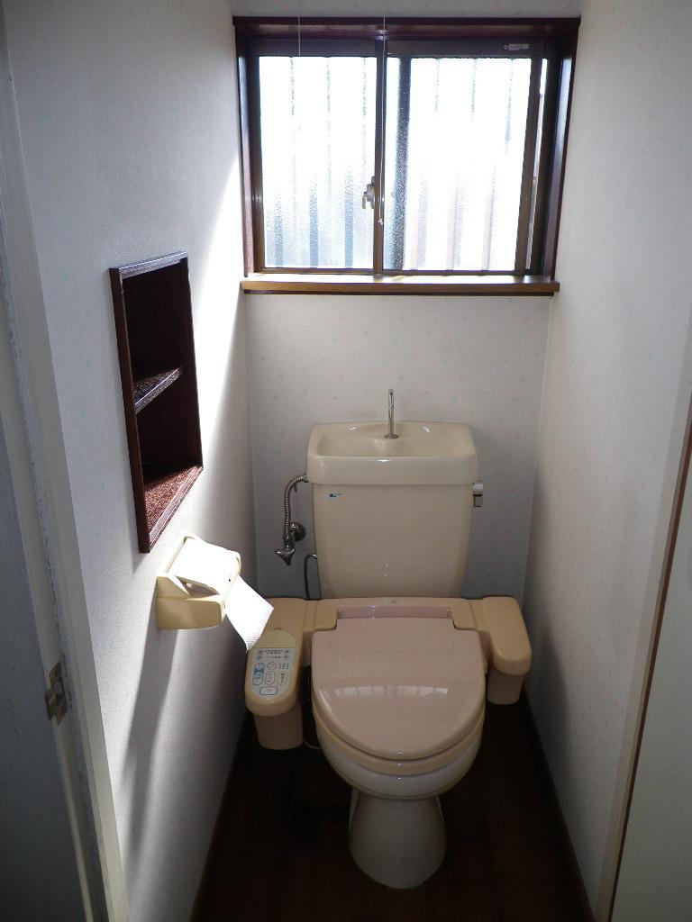 Toilet. Indoor (April 2012) shooting