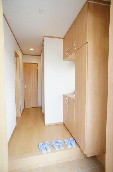 Non-living room. Entrance storage