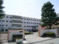 Primary school. 400m until dry goods elementary school