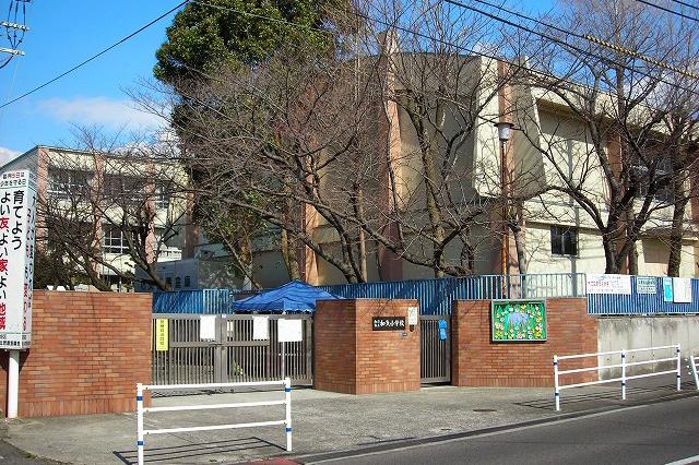 Primary school. Wake up to elementary school 470m