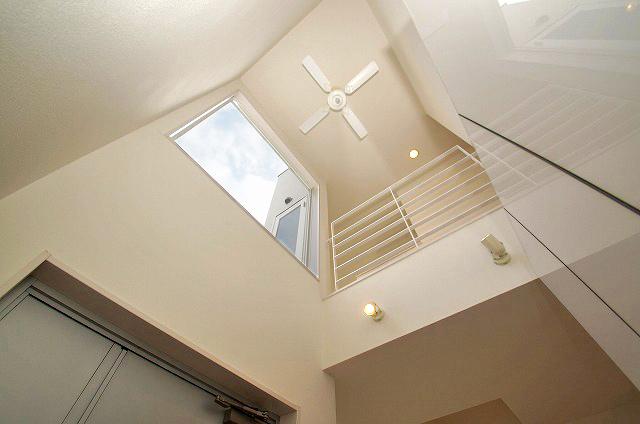 Other introspection. Entrance atrium