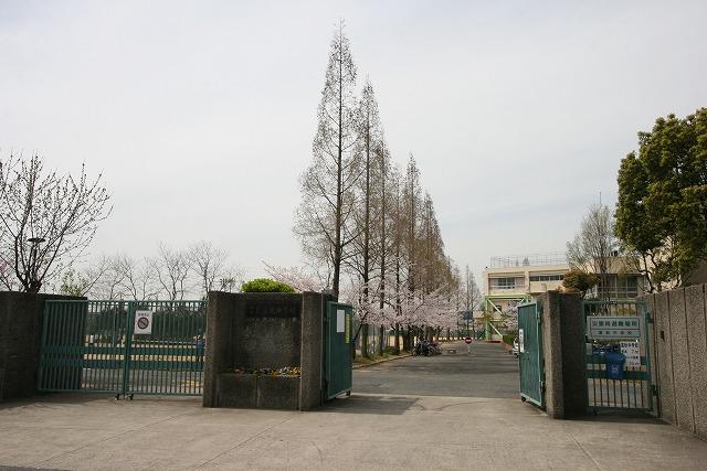 Junior high school. Tomiaki 560m until junior high school