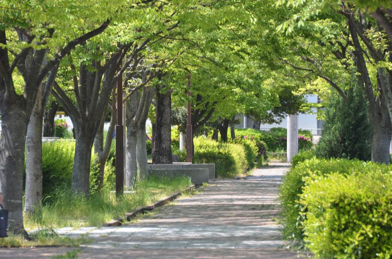 park. 830m until the stone Tachihara park