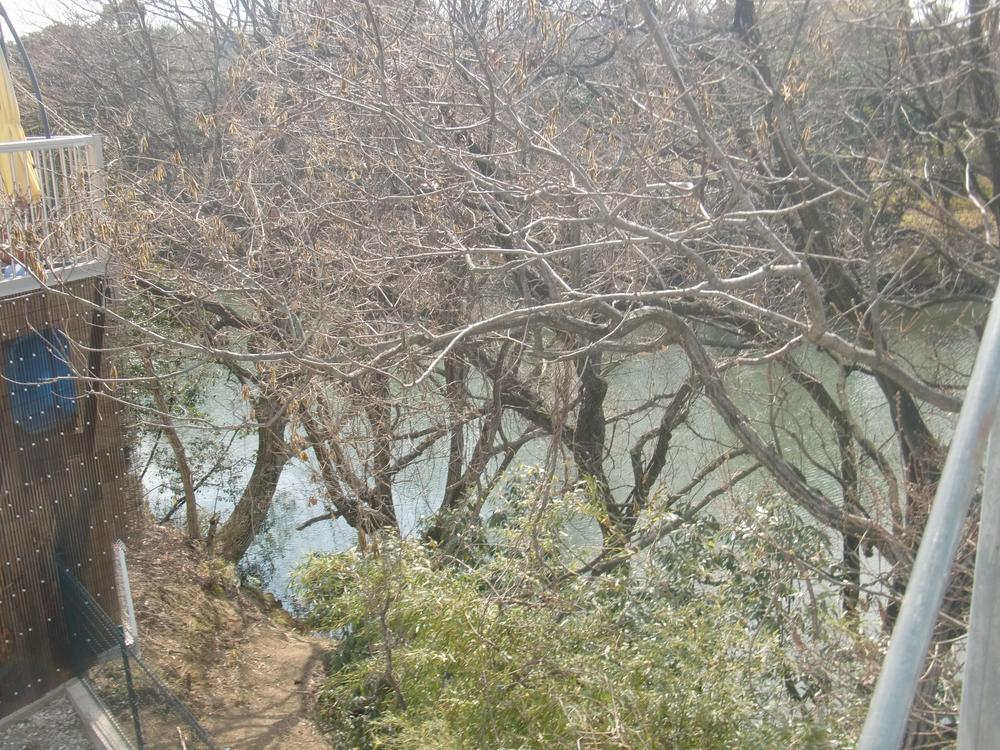 Other Environmental Photo. Lush life