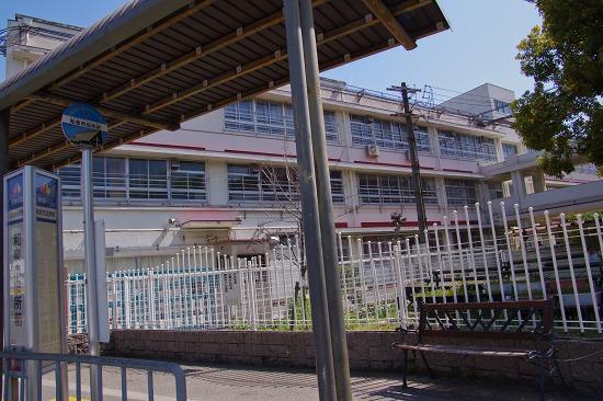 Primary school. Izumi Municipal Kokufu to elementary school 927m