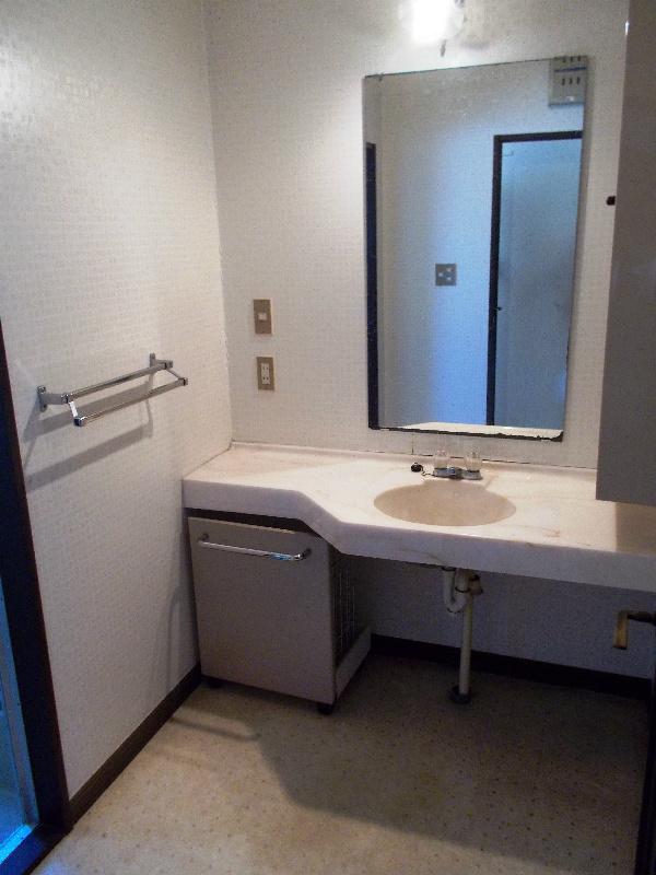 Wash basin, toilet. Washroom