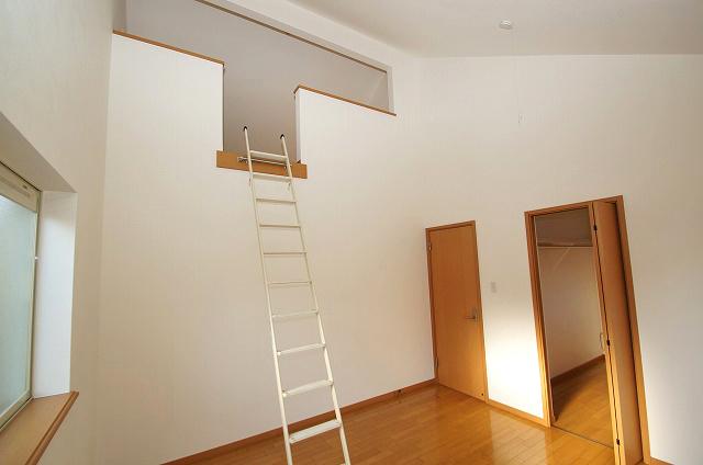 Non-living room. Image right before the entrance is a walk-in closet