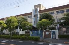 Primary school. 2050m until the Municipal Guangming Taipei elementary school
