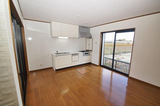 Living. Cross Insect