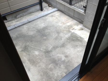 Other local. backyard