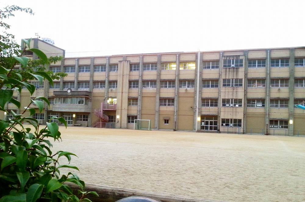 Primary school. Izumiotsu Municipal Kusunoki 700m up to elementary school