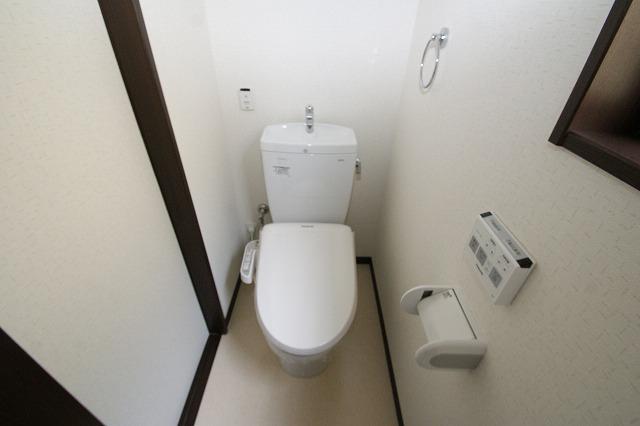 Toilet. Toilet bowl / Beauty Toilette had made