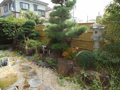 Garden. Local (11 May 2013) Shooting