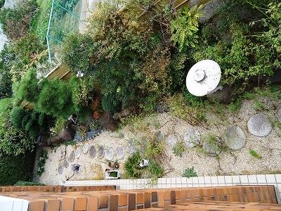 Garden. Local (11 May 2013) Shooting