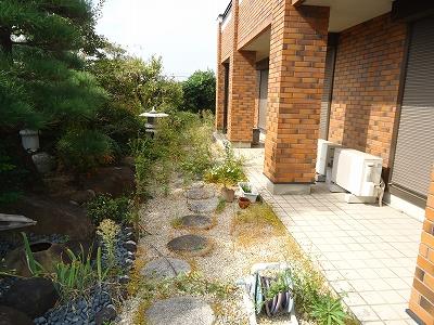 Garden. Local (11 May 2013) Shooting