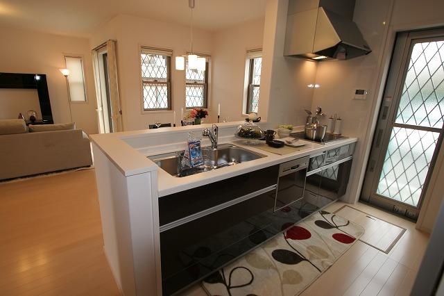 Kitchen. Dishwasher IH cooking heater