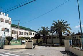 Other. Hineno junior high school (about 800m)