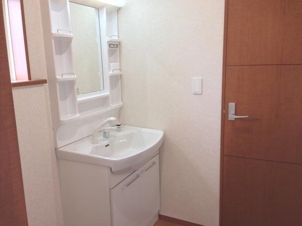 Wash basin, toilet. Storage lot, Washbasin with shower