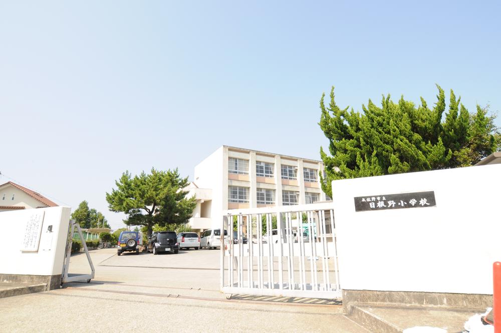 Other. Peripheral photo