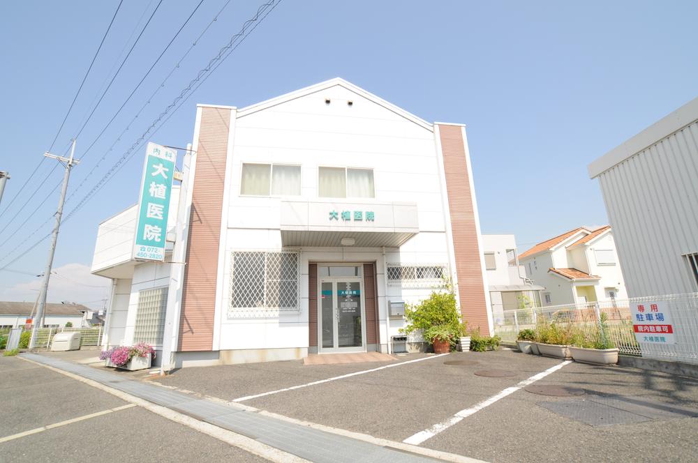 Other. Peripheral photo