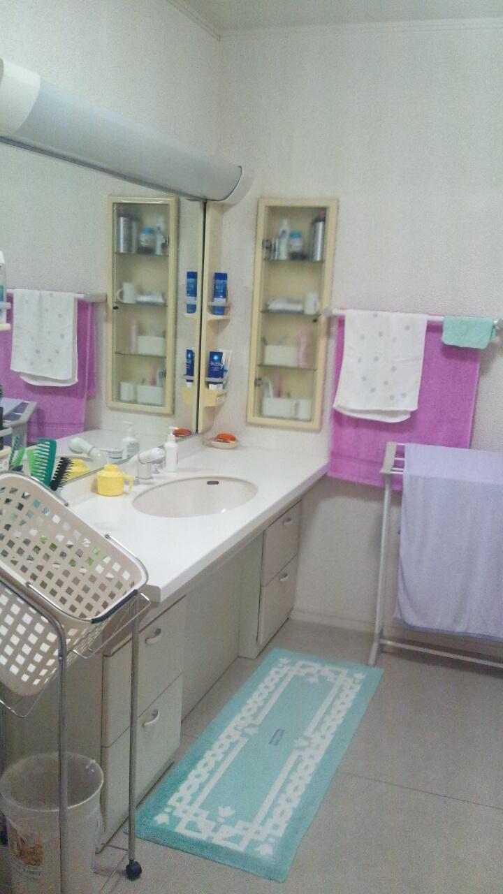 Wash basin, toilet. Room (May 2013) Shooting