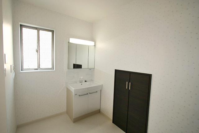 Wash basin, toilet. Vanity with shower