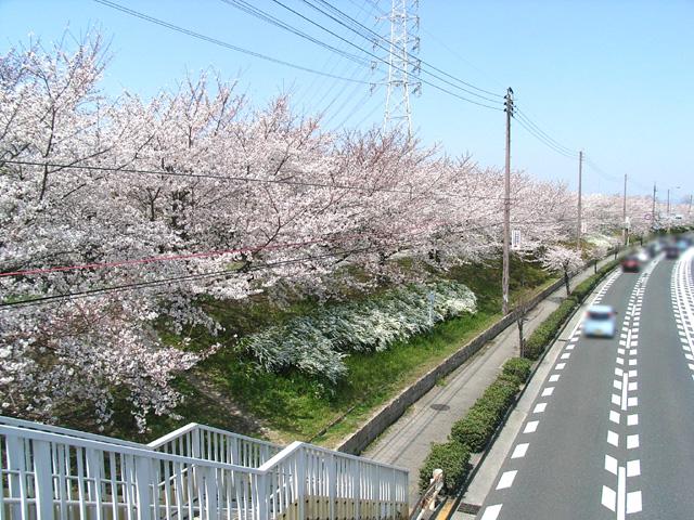 park. Fukakita to green space 1542m