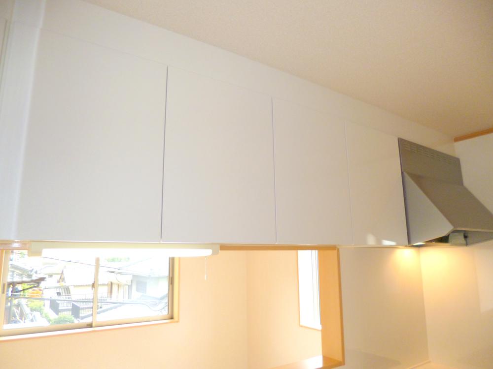 Same specifications photos (Other introspection)