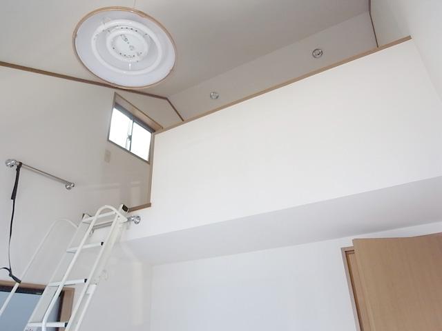 Other introspection. loft