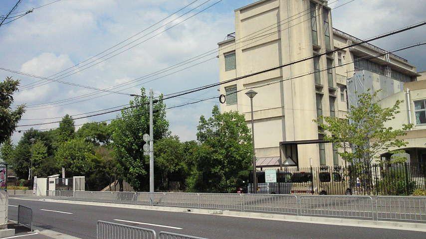 Primary school. Kadoma Municipal two islands to elementary school 273m