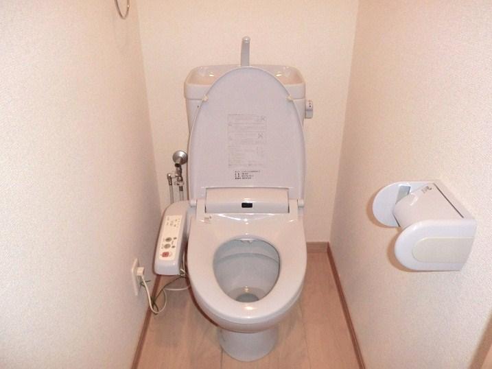 Toilet. Indoor (12 May 2012) shooting