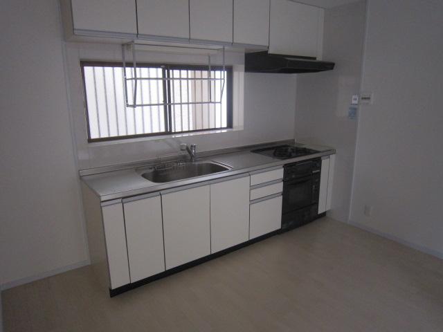 Kitchen. Indoor (09 May 2012) shooting