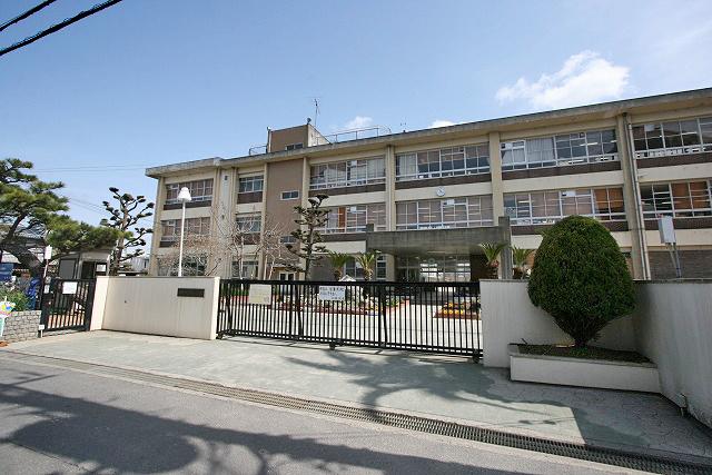 Primary school. To South Elementary School 1370m