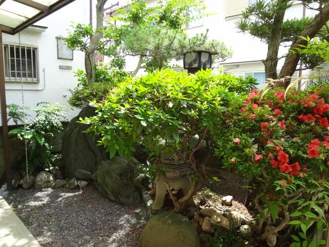 Garden.  ☆ Garden ☆ 