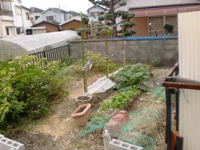 Garden. Local (12 May 2013) Shooting