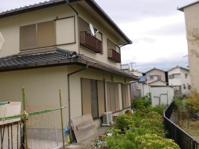 Garden. Local (12 May 2013) Shooting