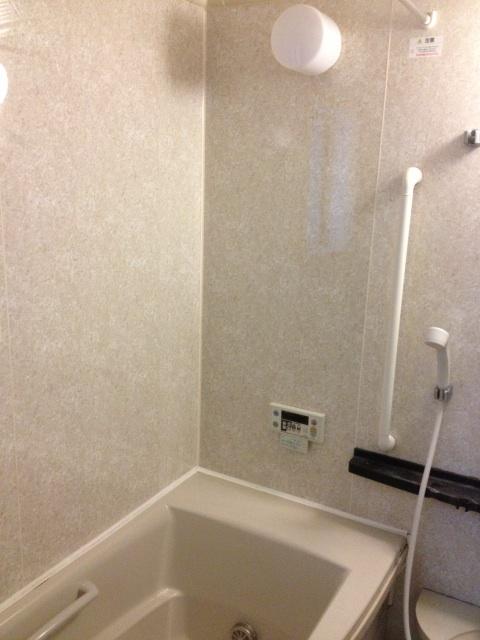 Bathroom. Indoor (12 May 2013) Shooting