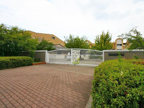 Primary school. 550m up to two-color elementary school