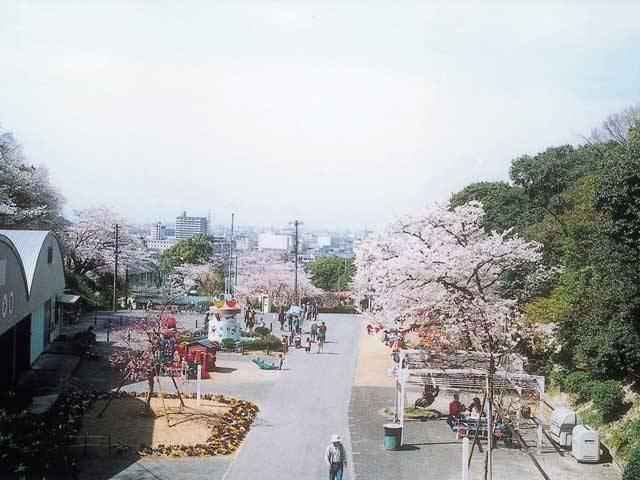 park. 1196m to Kashiwabara Municipal Tamateyama park