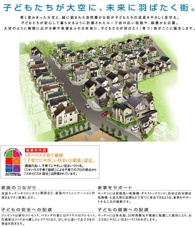 Other. Subdivision concept!