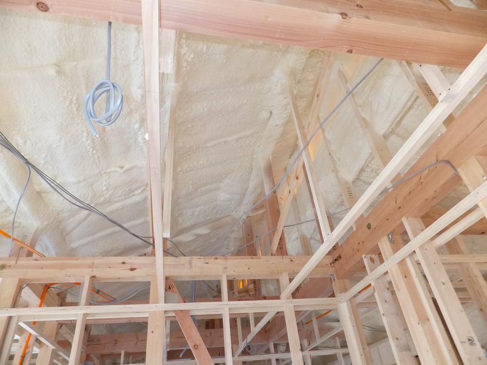 Other. Until the attic, I wrapped it fits easily in the Aqua Home.