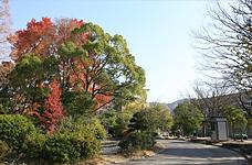 Primary school. Municipal Katano until elementary school 1170m