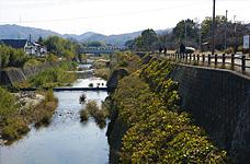 park. Milky Way up to green space 810m