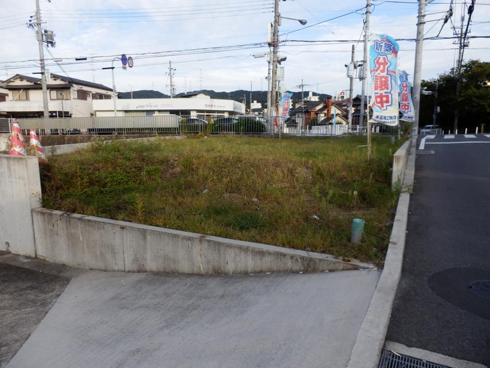 Local land photo. Local (10 May 2010) Shooting