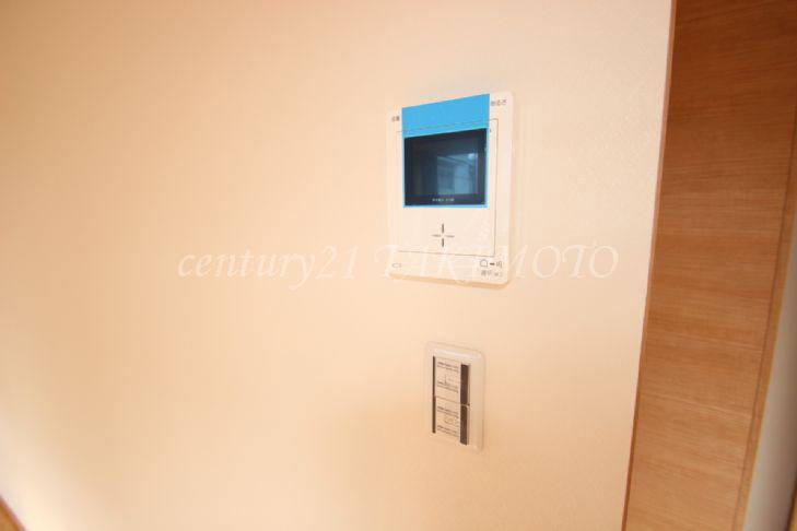 Other. Check the visitor in the color monitor!