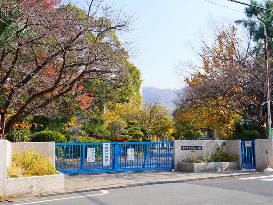 Primary school. Katano 50m to elementary school