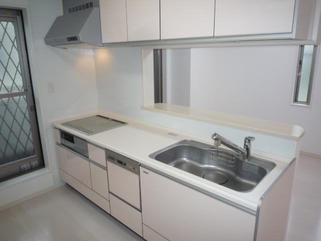 Kitchen. Also dishwasher with white kitchen! 