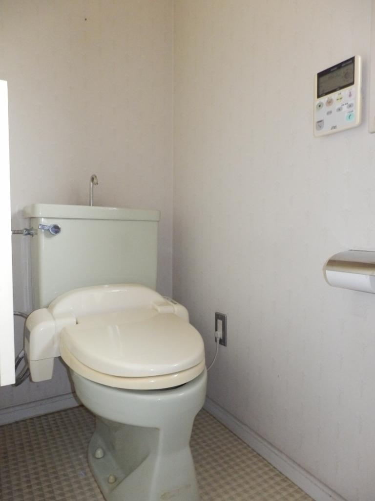 Toilet. Indoor (September 2012) shooting