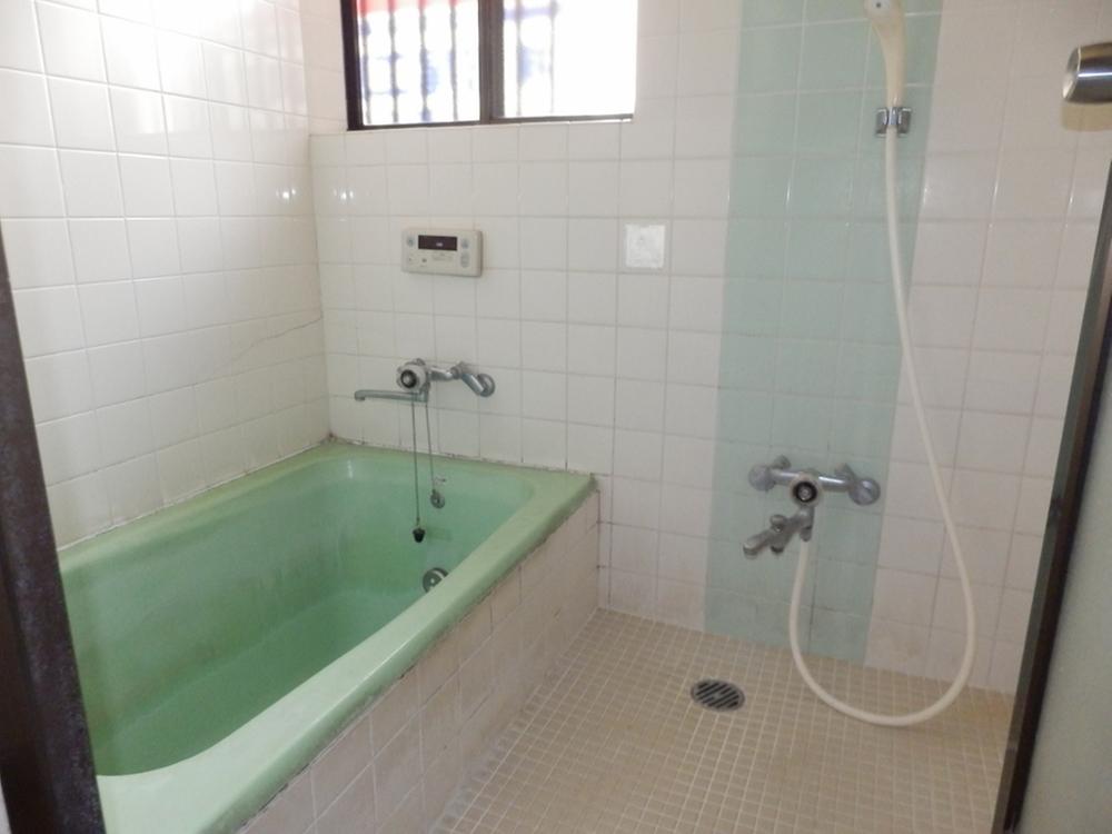 Bathroom. Indoor (September 2012) shooting