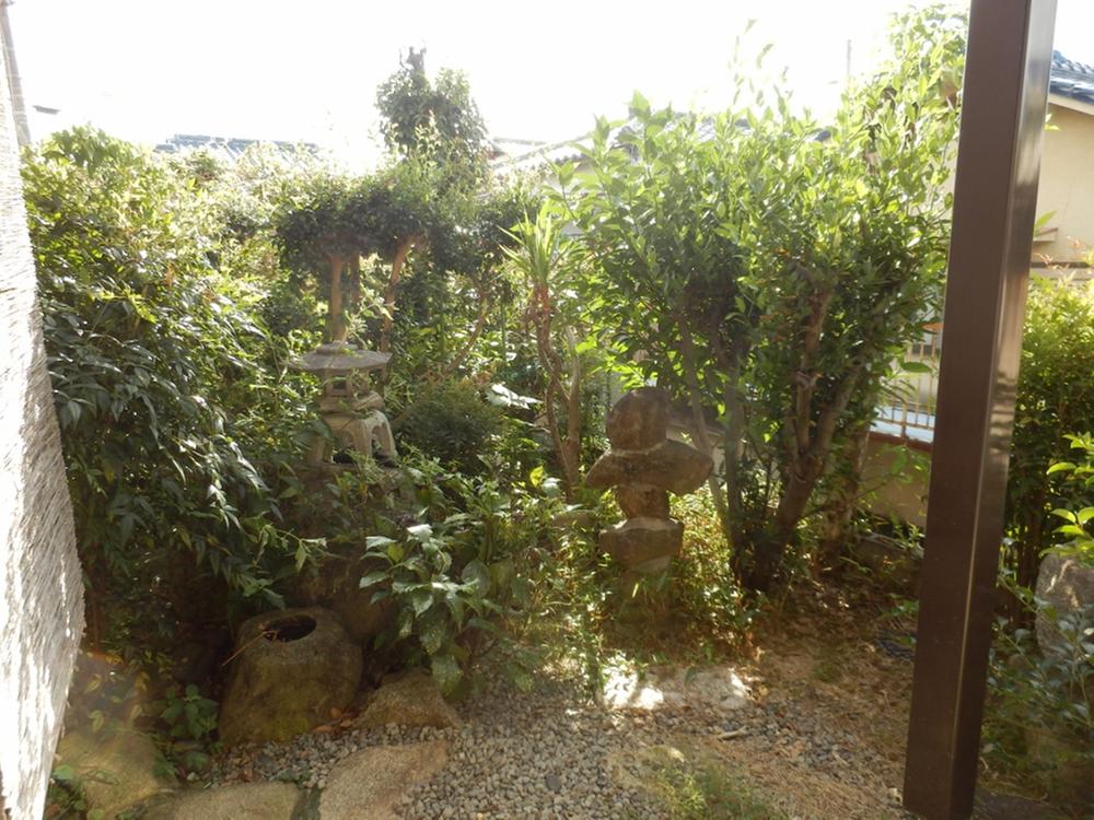 Garden. Local (September 2012) shooting